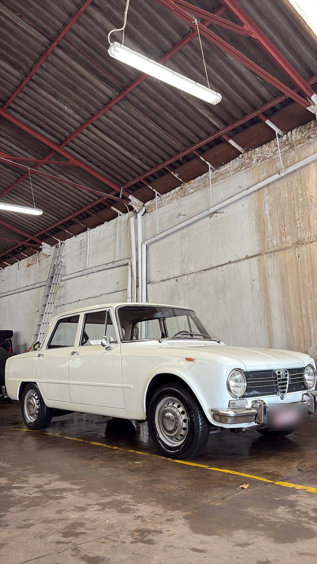 Alfa Romeo Giulia de collection après un detailing complet